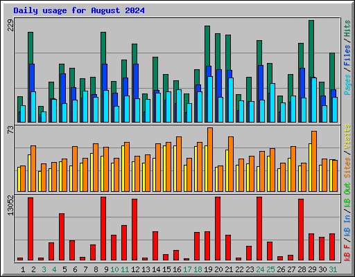 Daily usage for August 2024