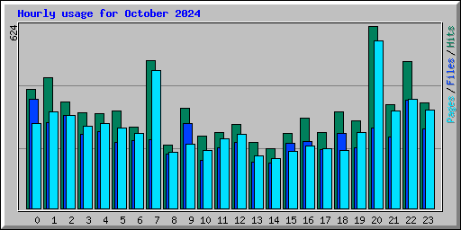 Hourly usage for October 2024