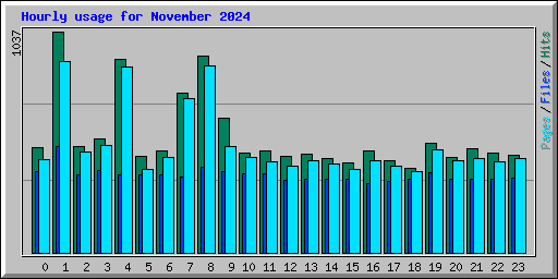 Hourly usage for November 2024