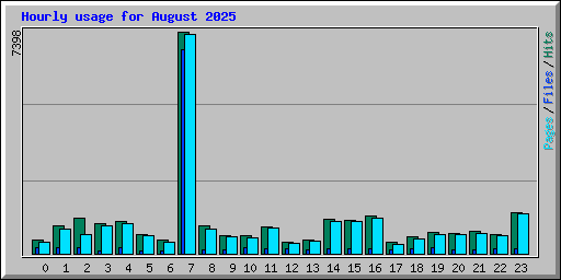 Hourly usage for August 2025