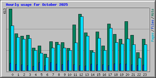 Hourly usage for October 2025
