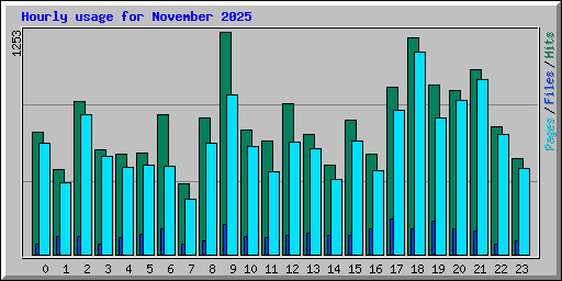 Hourly usage for November 2025