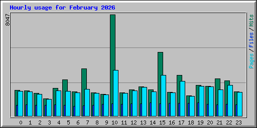 Hourly usage for February 2026
