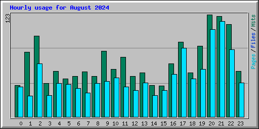 Hourly usage for August 2024