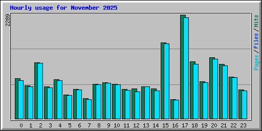 Hourly usage for November 2025