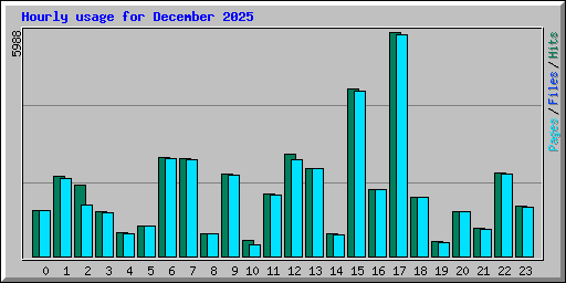 Hourly usage for December 2025