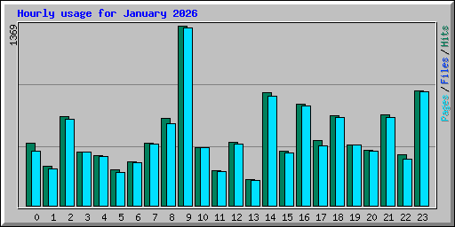 Hourly usage for January 2026