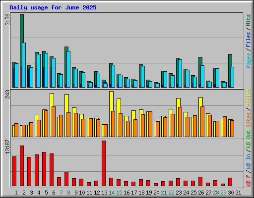 Daily usage for June 2025