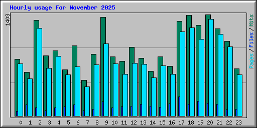 Hourly usage for November 2025