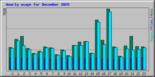 Hourly usage for December 2025