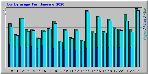 Hourly usage for January 2026